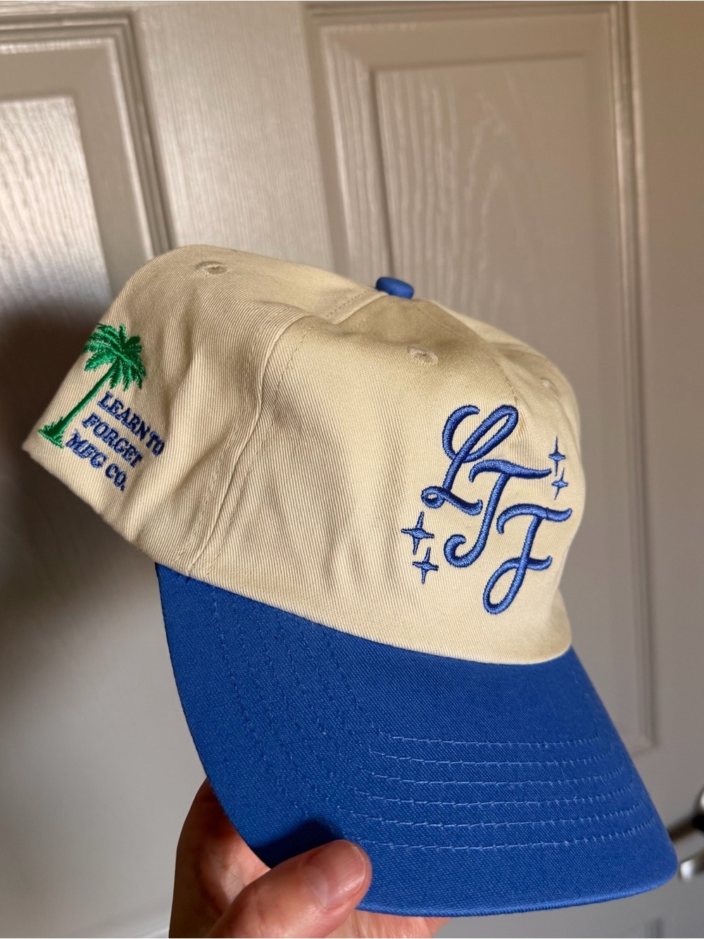 Learn To Forget Hat